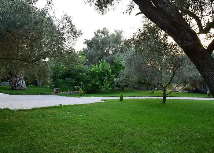 To Agridi Tsoukaladhes