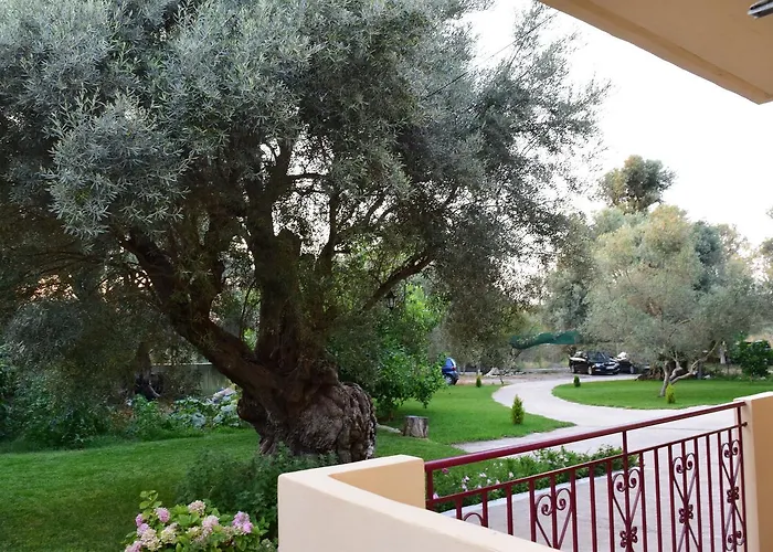 To Agridi Tsoukaladhes