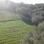 To Agridi Apartmán