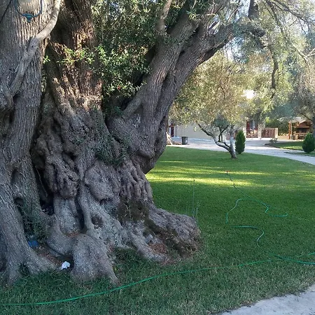 To Agridi * Τσουκαλάδες