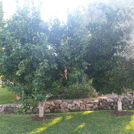 To Agridi Διαμέρισμα