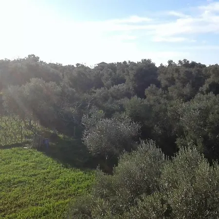 Apartamento To Agridi