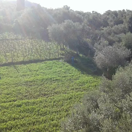 To Agridi Apartamento