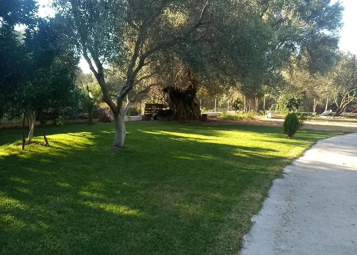 To Agridi * Tsoukaládhes