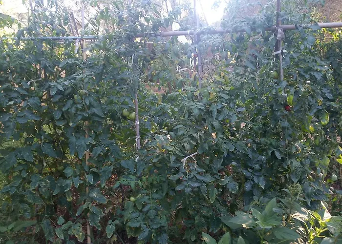 To Agridi דירה *