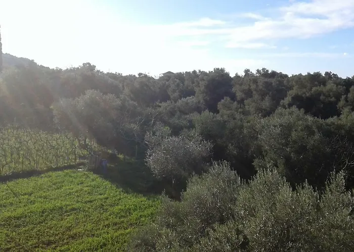 Appartement To Agridi