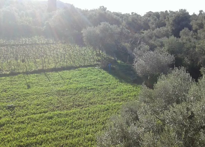 To Agridi Appartement